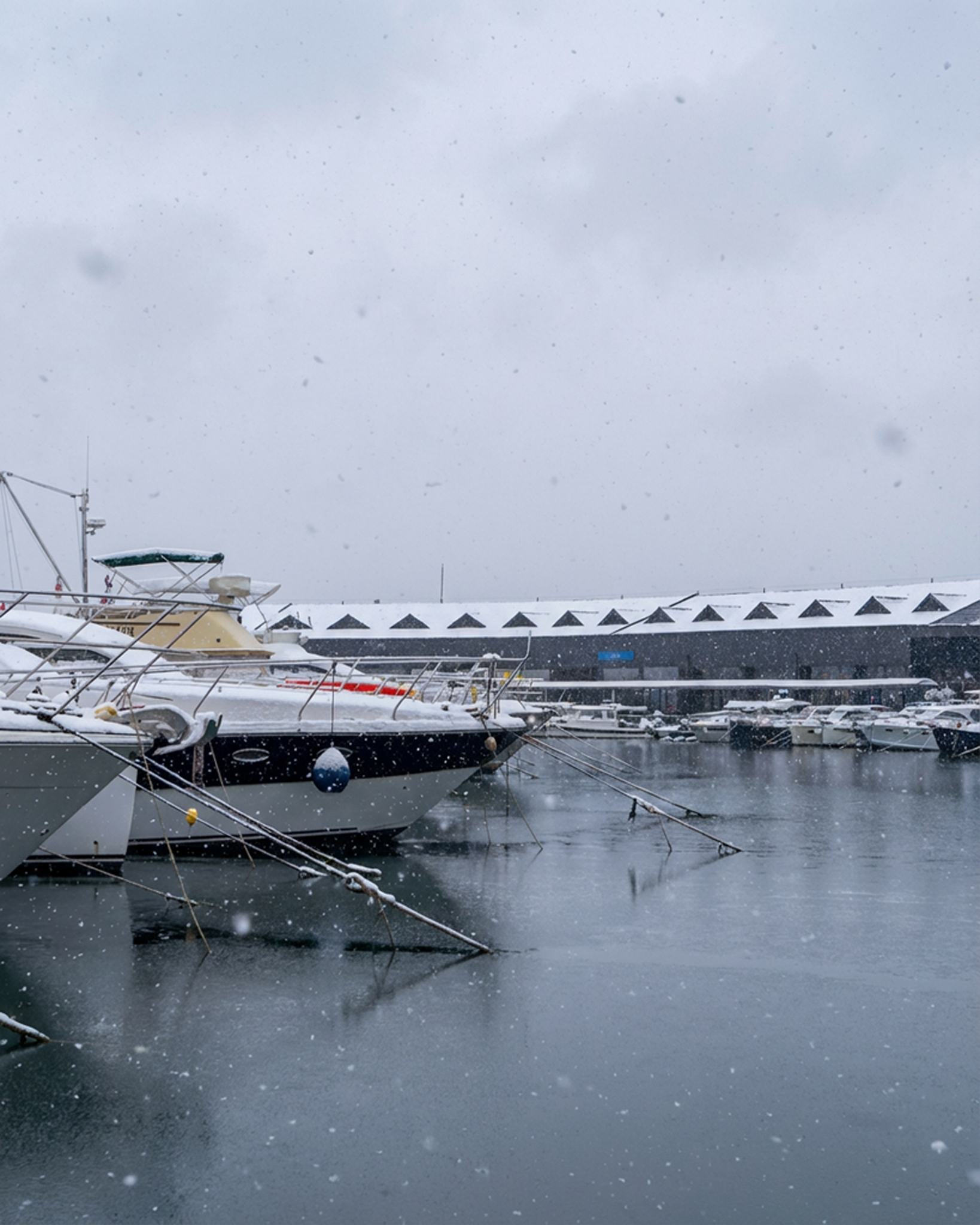 Dört Mevsim Yaşayan Marina Kültürü: Tuzla Viaport Marina